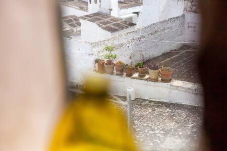 Vista Mozzafiato Sul Mare, Suite Di Lusso - Ostuni Ngoại thất bức ảnh
