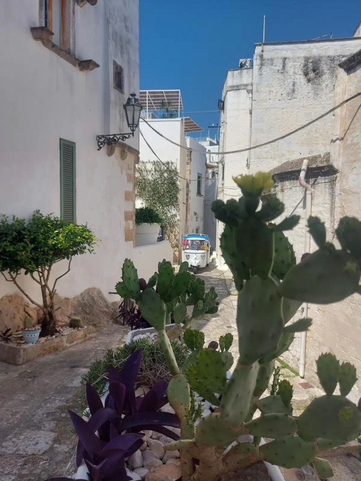 Vista Mozzafiato Sul Mare, Suite Di Lusso - Ostuni Ngoại thất bức ảnh